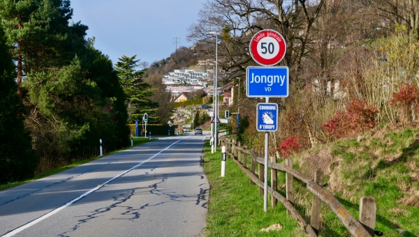 Jongny: la population se prononcera finalement sur le projet de nouveau complexe scolaire